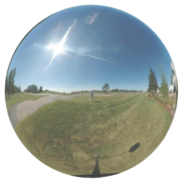 Gazing Globe 10 Inch, Silver - Garden Center